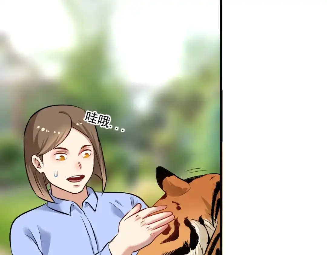 《我的成就有点多》第167话 第二只老虎？ 第80页
