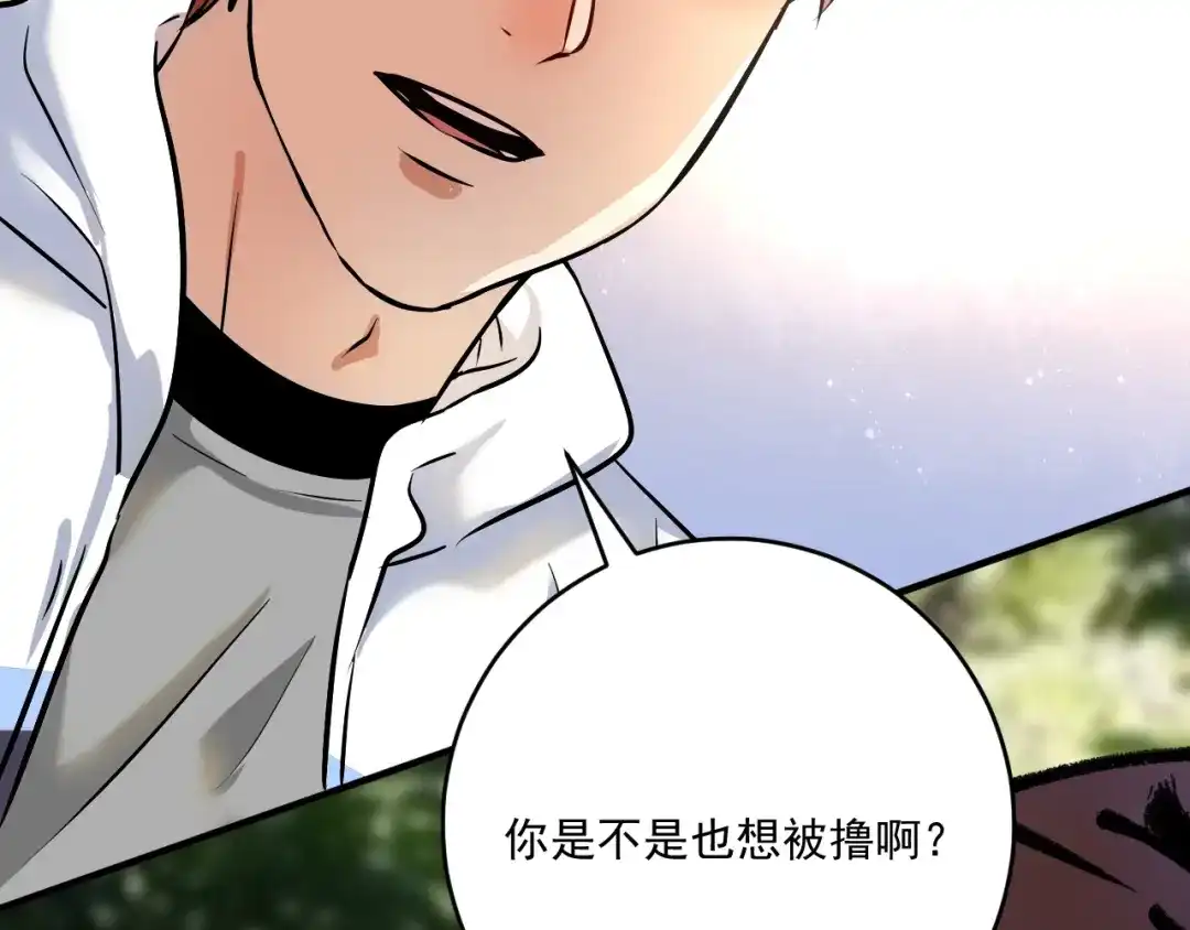 《我的成就有点多》第167话 第二只老虎？ 第92页