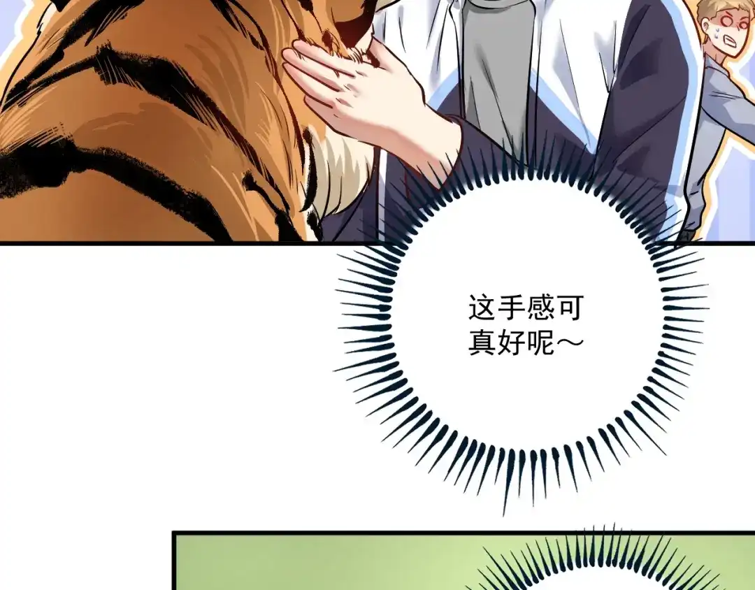 《我的成就有点多》第167话 第二只老虎？ 第76页
