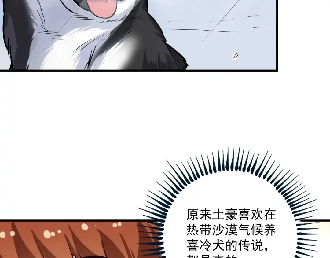《我的成就有点多》第168话 驯兽师孟凡 第66页