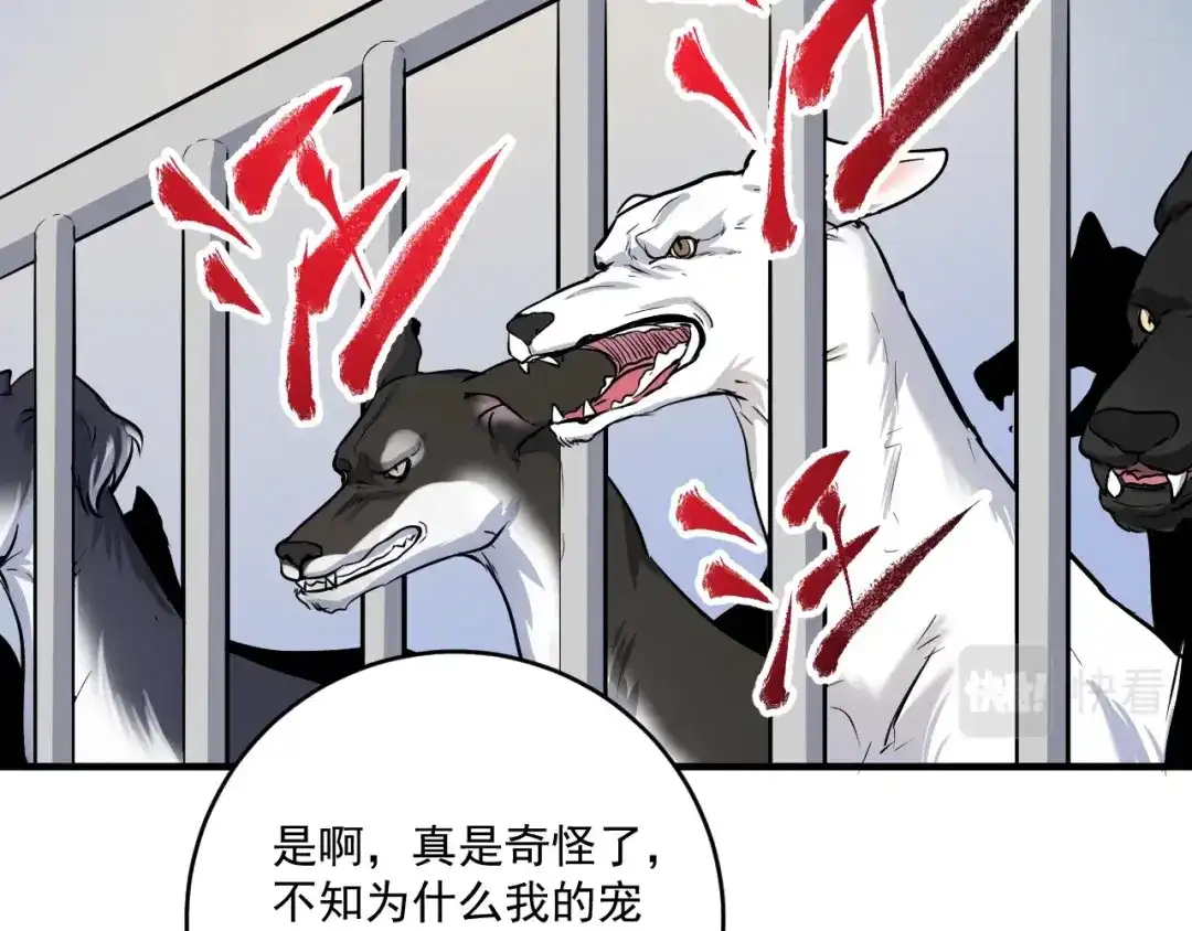 《我的成就有点多》第168话 驯兽师孟凡 第81页