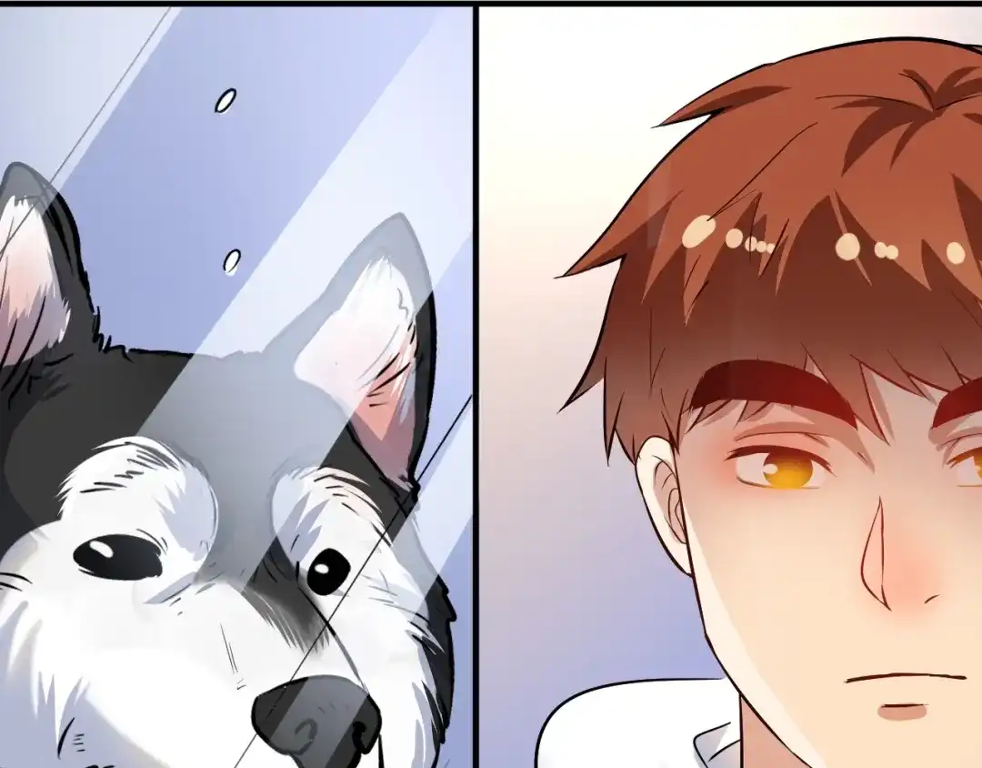 《我的成就有点多》第168话 驯兽师孟凡 第70页