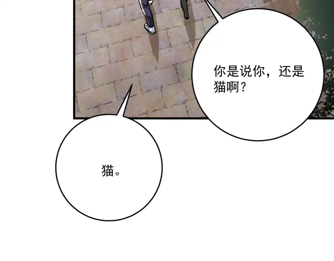 《我的成就有点多》第169话 猫咪计划 第107页