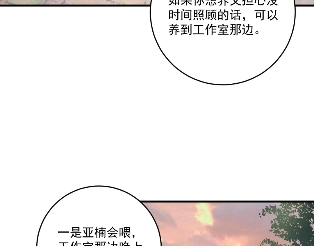 《我的成就有点多》第169话 猫咪计划 第114页