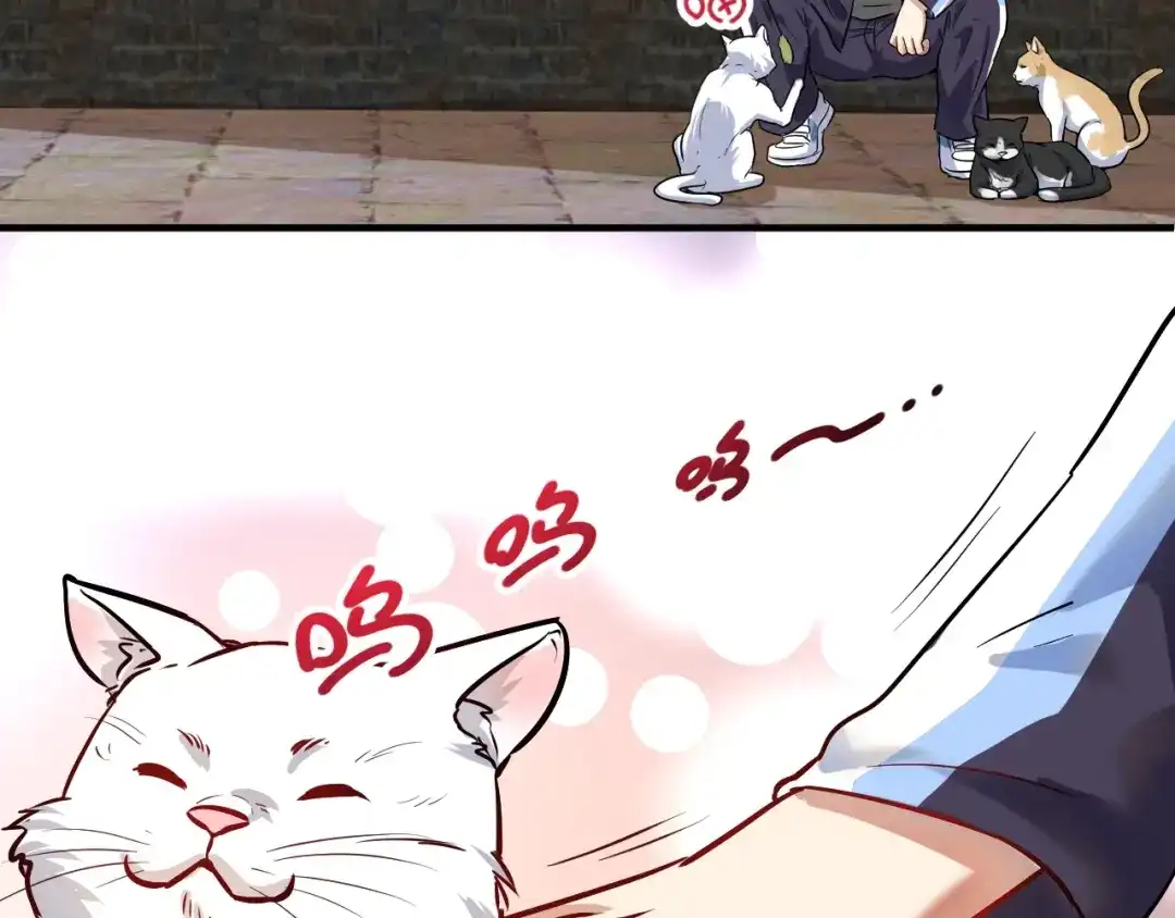 《我的成就有点多》第169话 猫咪计划 第87页