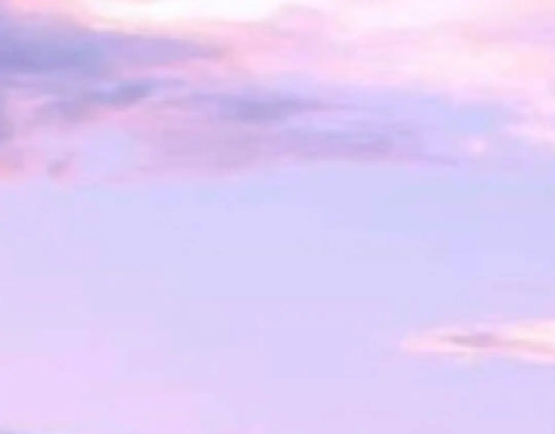 《我的成就有点多》第169话 猫咪计划 第60页