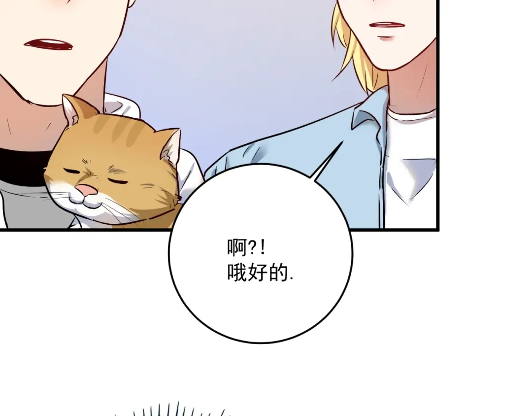 《我的成就有点多》第171话 重回赛场 第19页