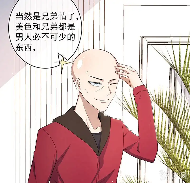 《我的充电女友》美色和兄弟情 第29页