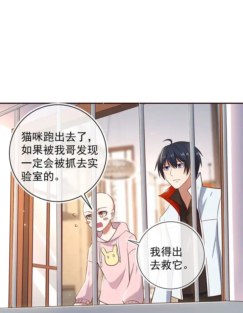 《我的充电女友》杏子和小猫咪 第43页