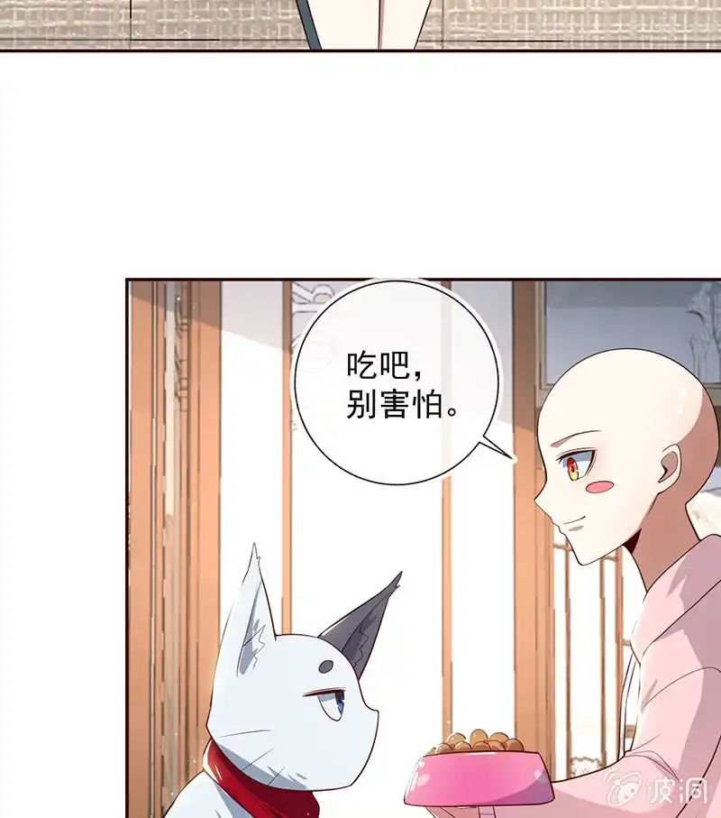 《我的充电女友》杏子和小猫咪 第41页