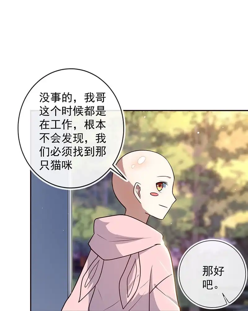 《我的充电女友》书架后的密道 第14页