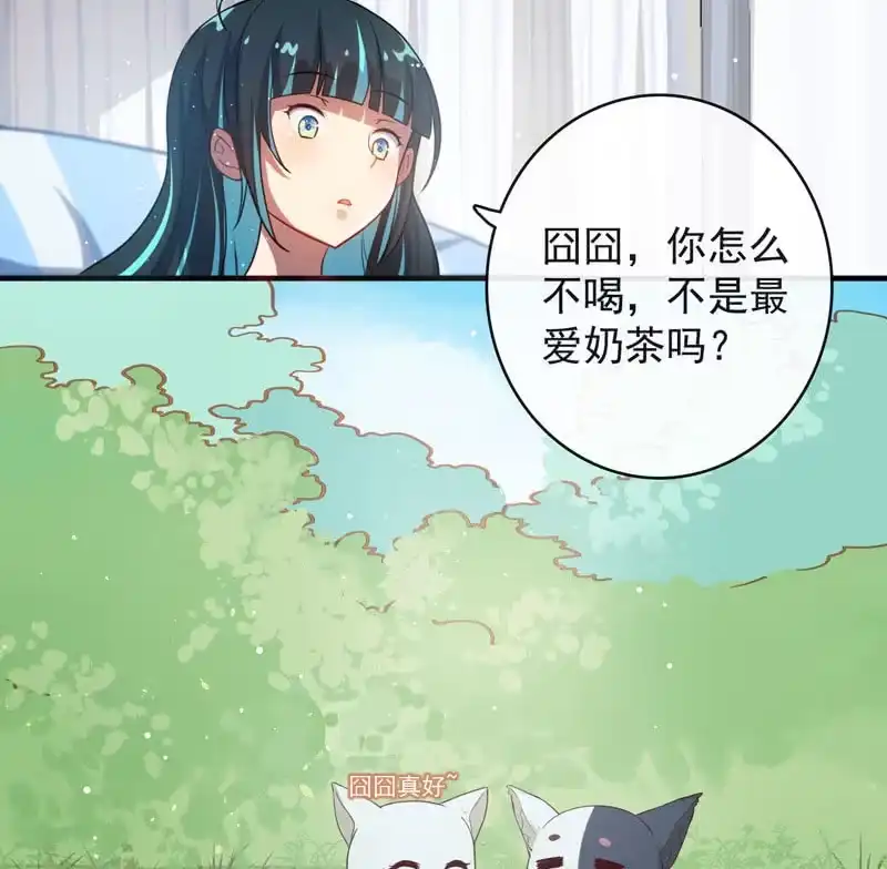 《我的充电女友》我是猫 第6页