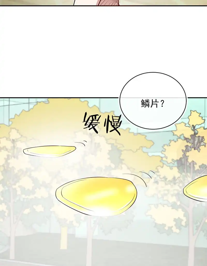 《我的充电女友》终结者还是生化危机 第8页