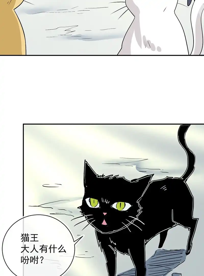《我的充电女友》猫猫特工队 第16页