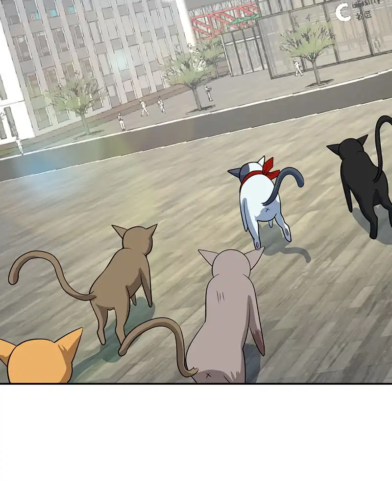 《我的充电女友》猫猫特工队 第23页
