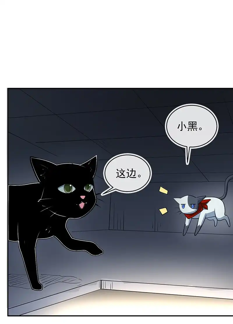 《我的充电女友》猫猫特工队 第32页