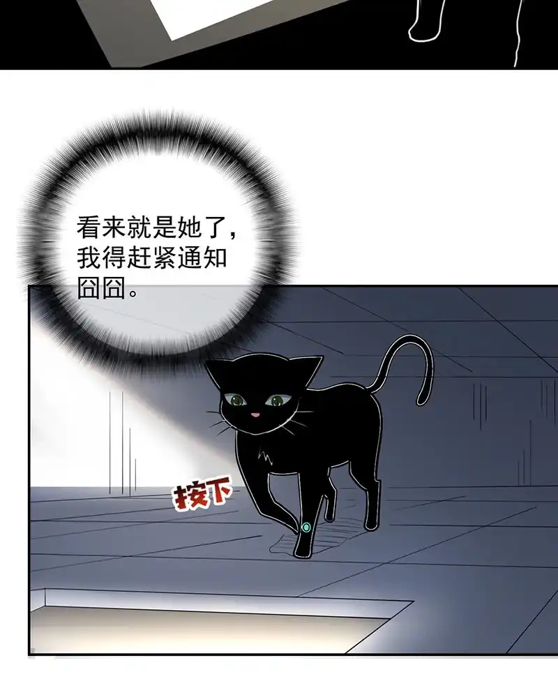 《我的充电女友》猫猫特工队 第30页