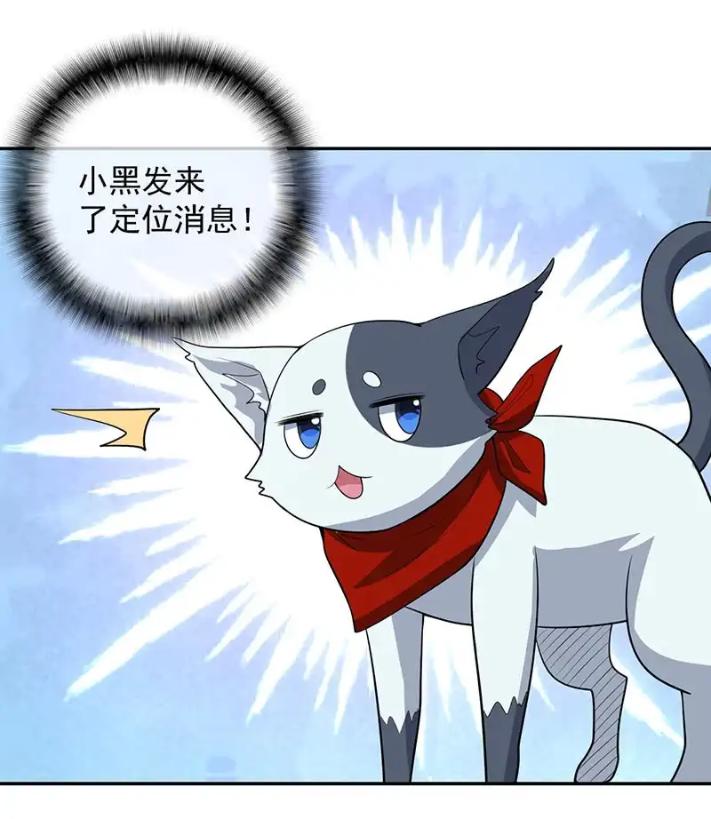 《我的充电女友》猫猫特工队 第31页