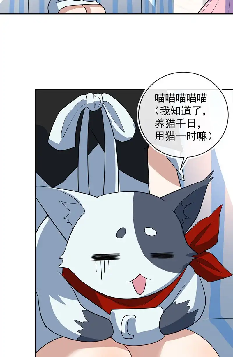 《我的充电女友》猫猫特工队 第10页