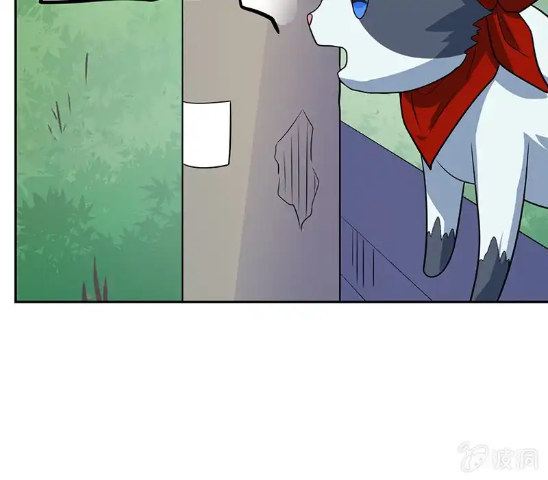 《我的充电女友》猫猫特工队 第13页