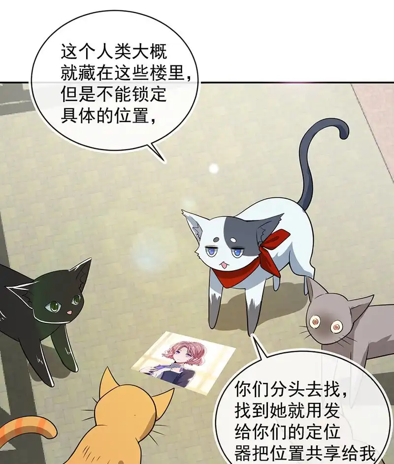 《我的充电女友》猫猫特工队 第24页