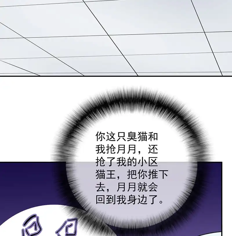 《我的充电女友》猫猫特工队 第38页