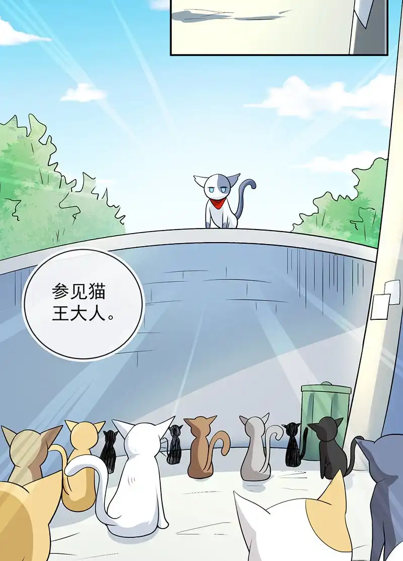 《我的充电女友》猫猫特工队 第15页