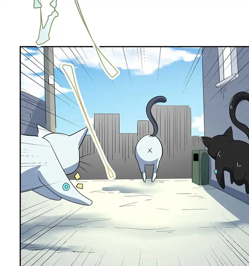 《我的充电女友》猫猫特工队 第19页