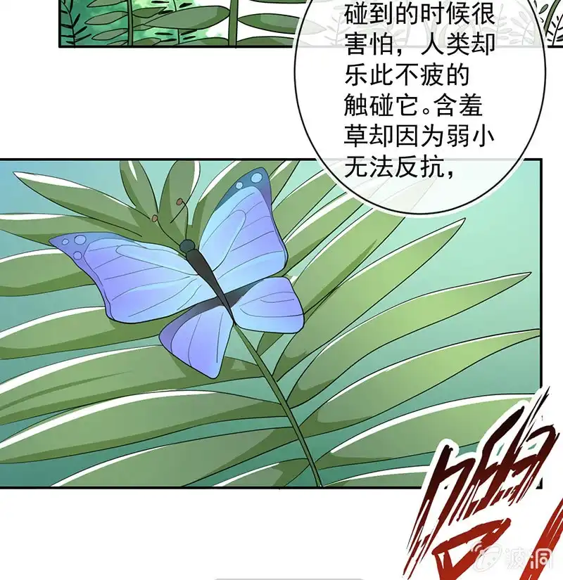 《我的充电女友》赋予弱者权力 第41页