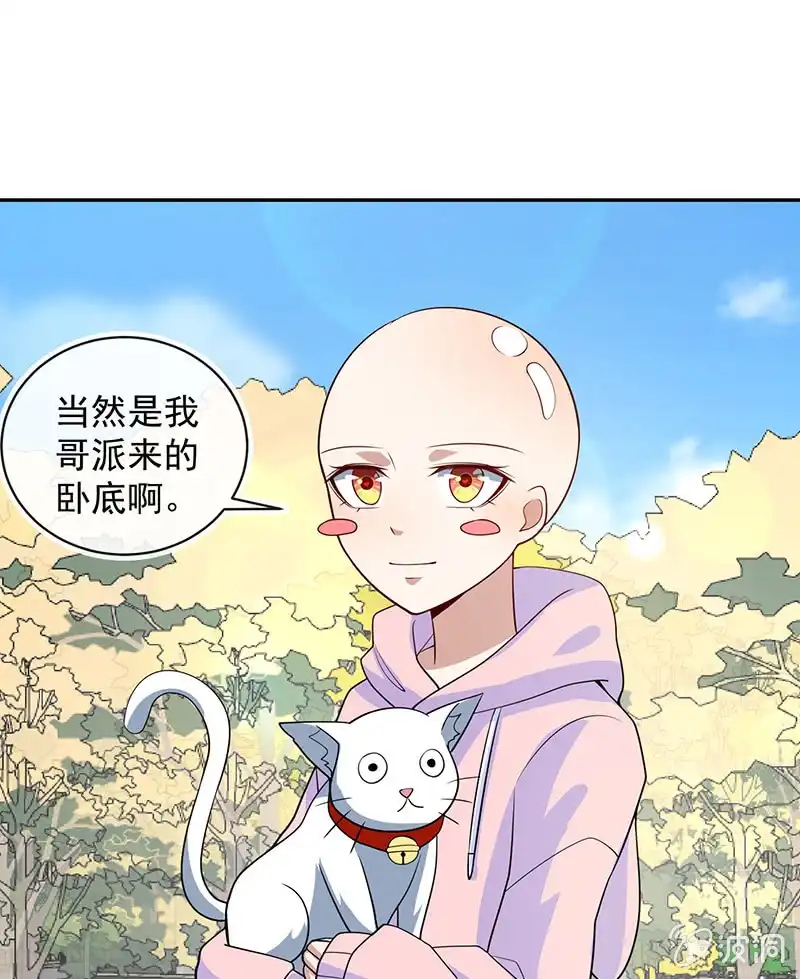 《我的充电女友》天堂的解药 第5页