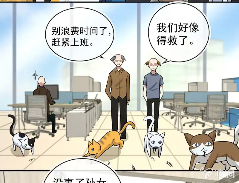 《我的充电女友》抓虫还是要靠猫 第9页