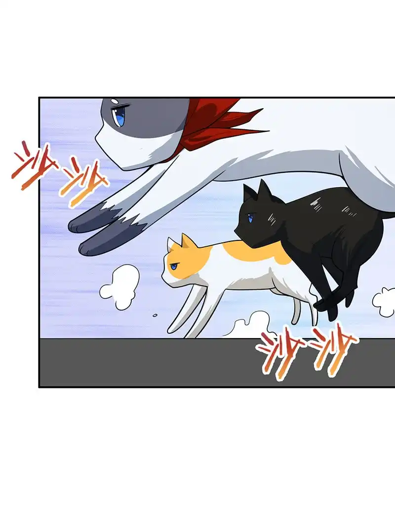 《我的充电女友》抓虫还是要靠猫 第4页