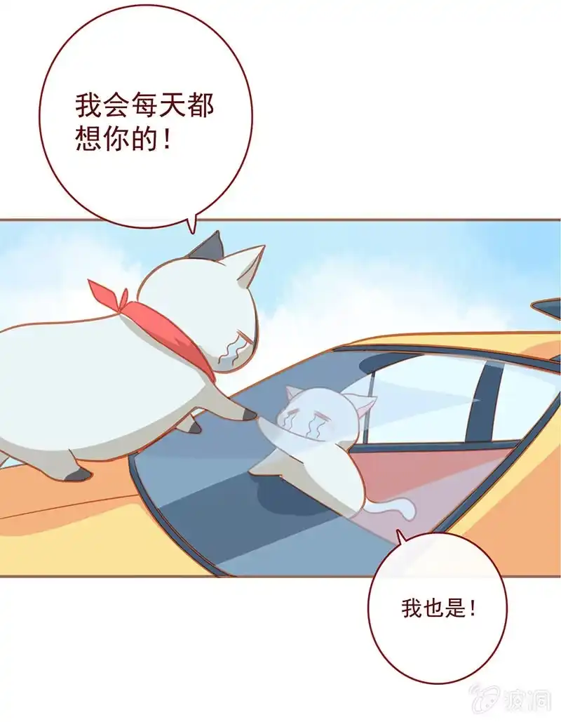 《我的充电女友》烟姐的照片 第53页