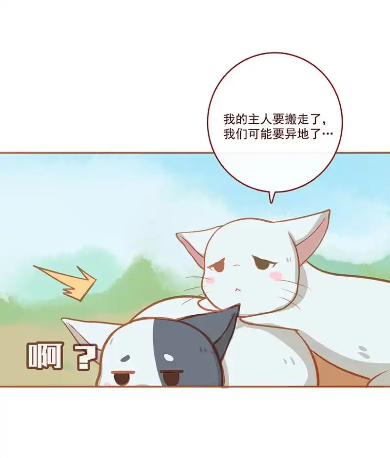 《我的充电女友》烟姐的照片 第51页