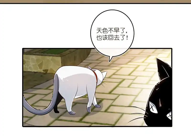 《我的充电女友》这个味道是说谎的味道，林高一！ 第36页