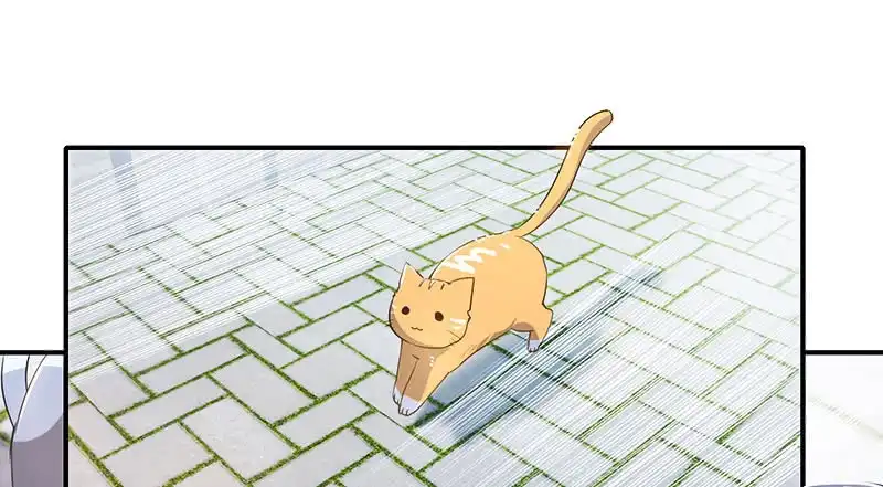 《我的充电女友》用另一个身份守护她 第48页
