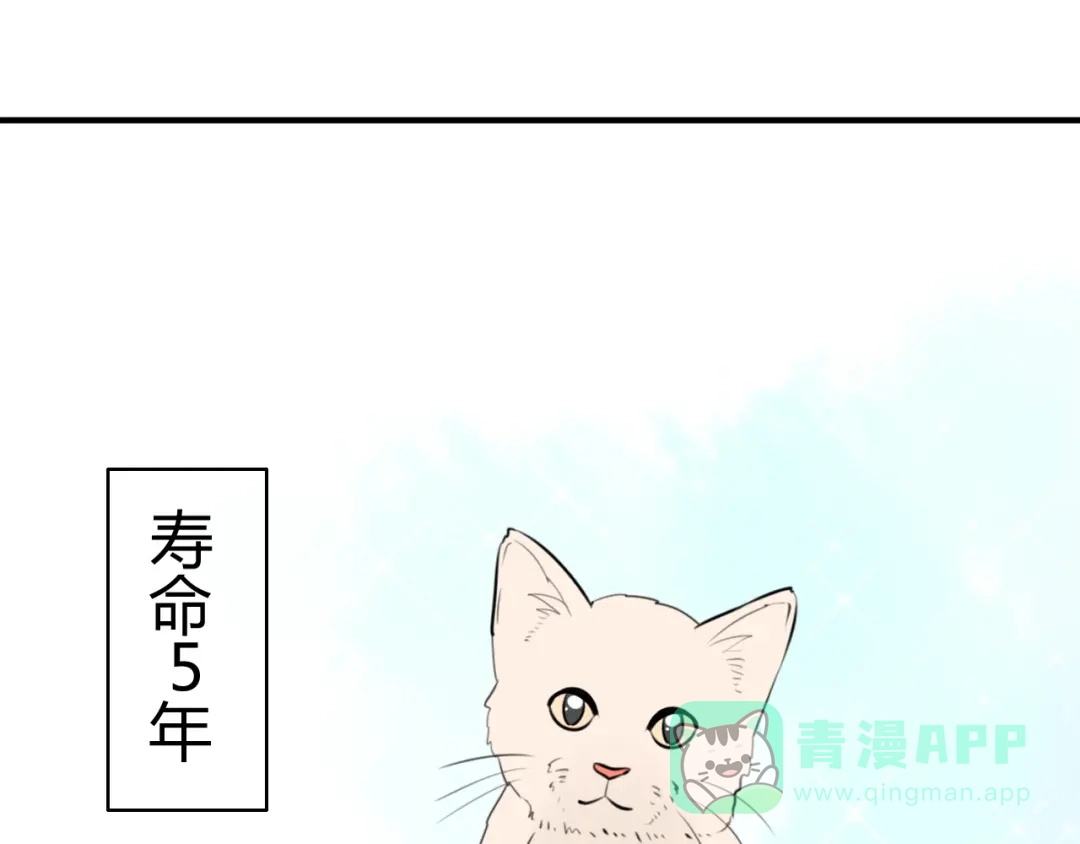 《我的宠物失忆了》第14话 狮子宫长的过去（一） 第46页