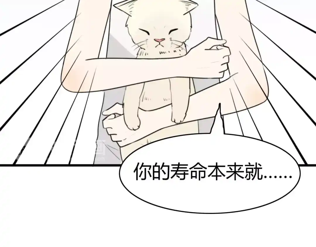 《我的宠物失忆了》第15话 狮子宫长的过去（二） 第23页
