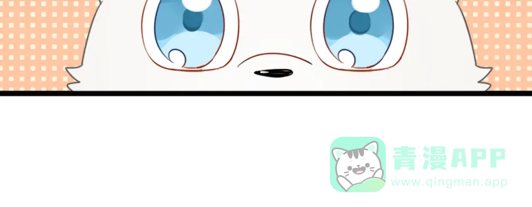 《我的宠物失忆了》第4话 200年前的事情 第41页