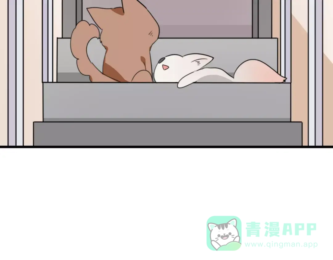 《我的宠物失忆了》第37话 看望总宫长（二） 第41页
