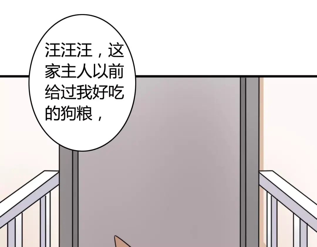 《我的宠物失忆了》第37话 看望总宫长（二） 第40页