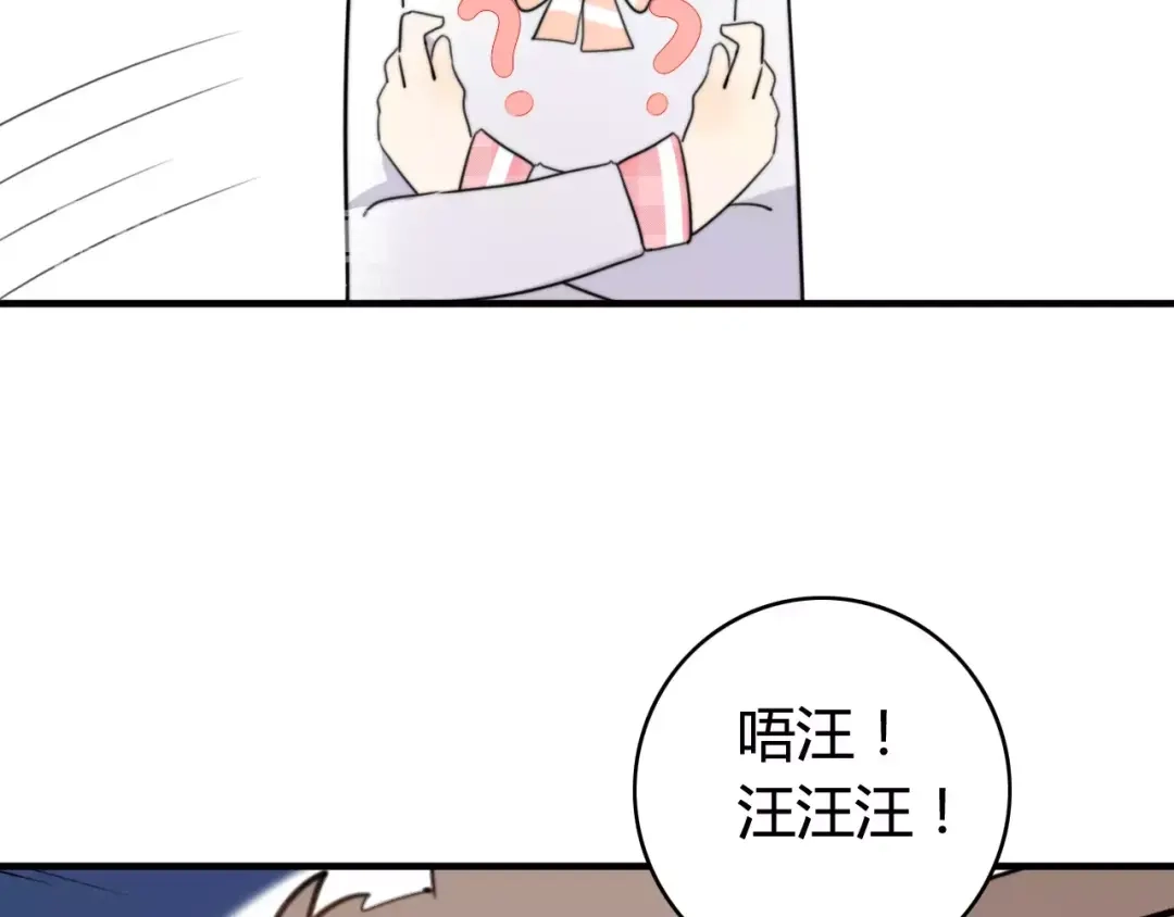 《我的宠物失忆了》第44话 礼物 第37页