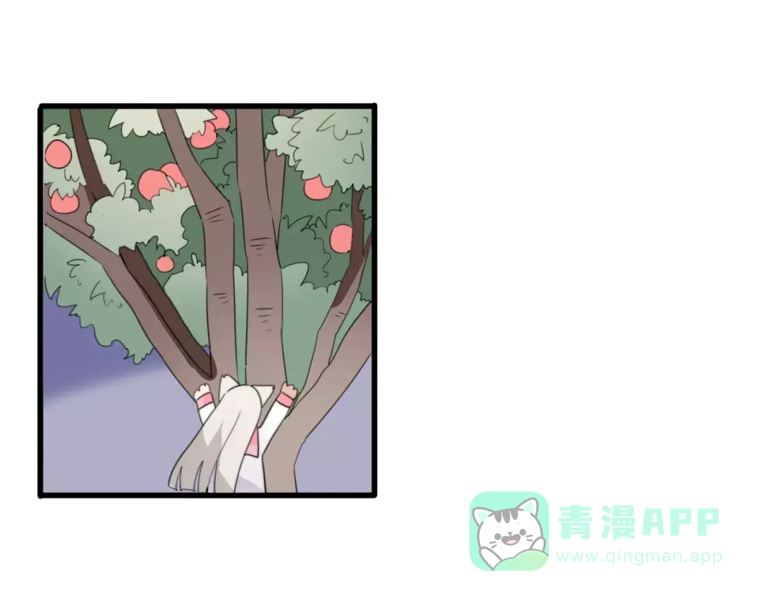 《我的宠物失忆了》第46话 真相 第36页