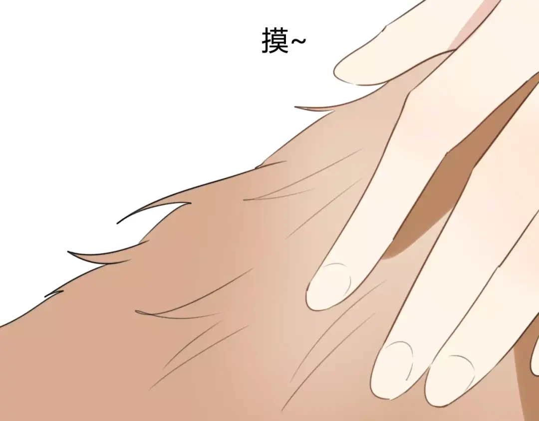 《我的宠物失忆了》第53话 狐狸的心2 第5页