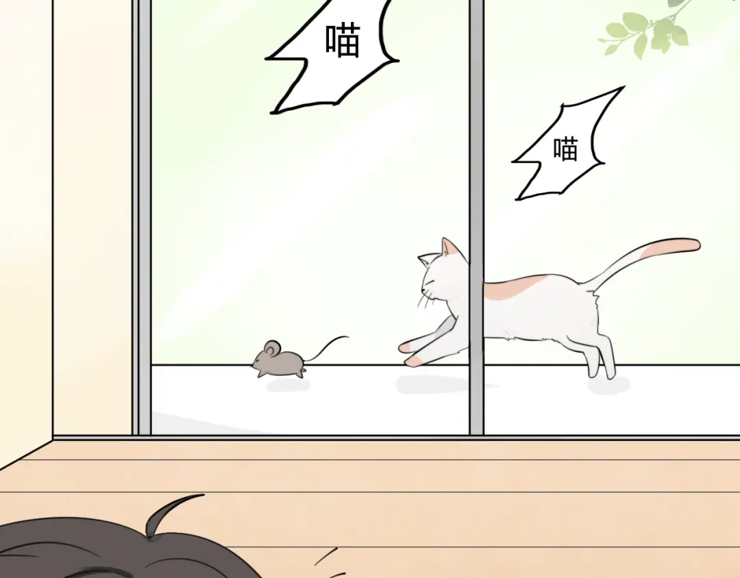 《我的宠物失忆了》第8话 猫和老鼠事件（一） 第19页