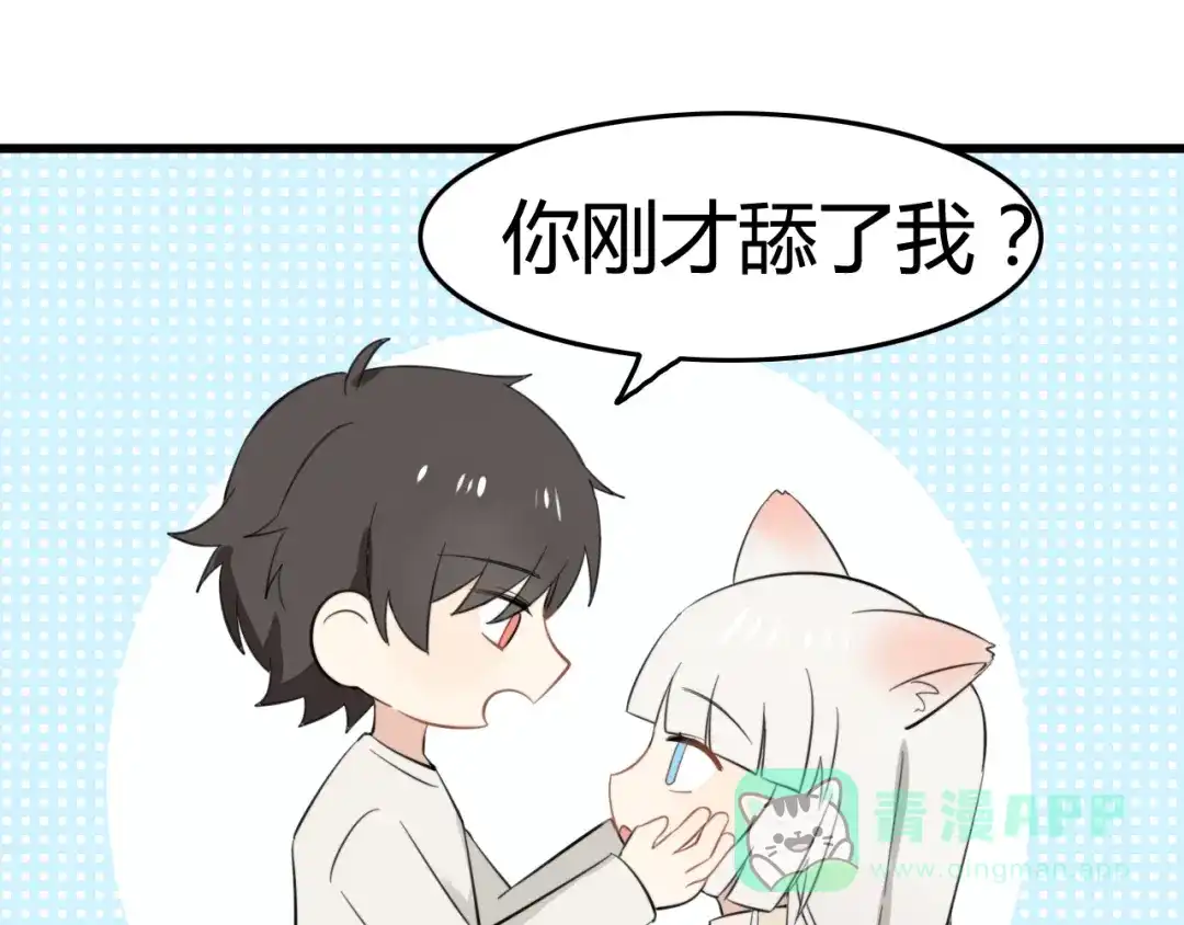 《我的宠物失忆了》第8话 猫和老鼠事件（一） 第66页