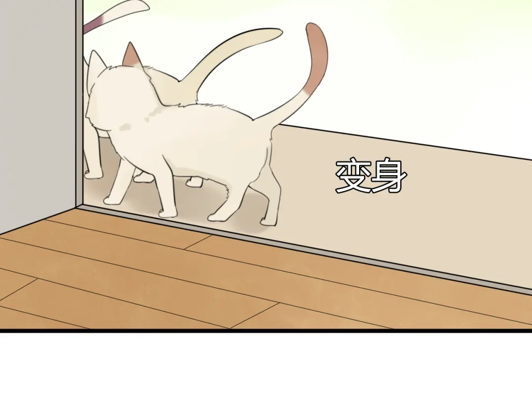 《我的宠物失忆了》第9话 猫和老鼠事件（二） 第38页