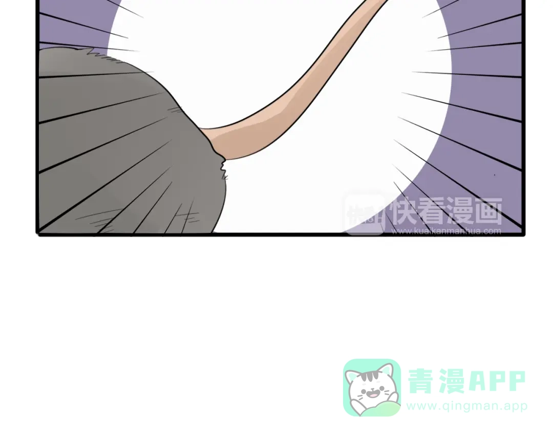 《我的宠物失忆了》第9话 猫和老鼠事件（二） 第11页