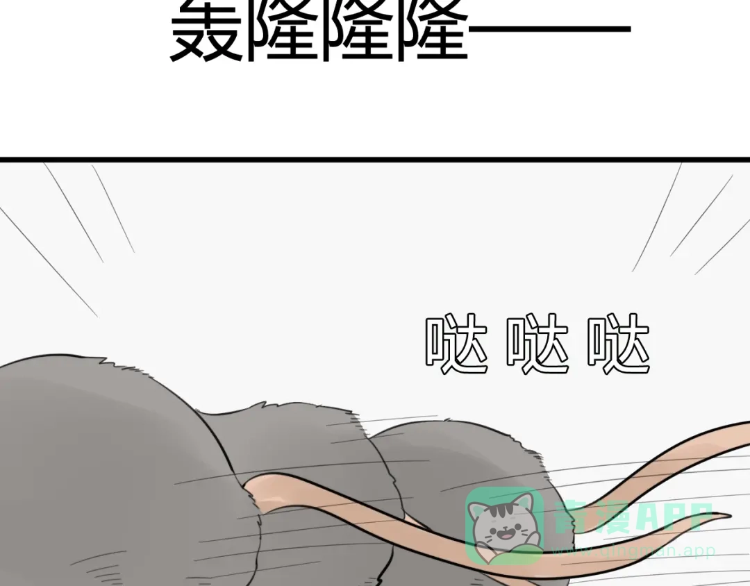 《我的宠物失忆了》第9话 猫和老鼠事件（二） 第6页