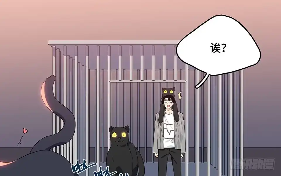 《我的反派女友》111.居然用那个？ 第61页